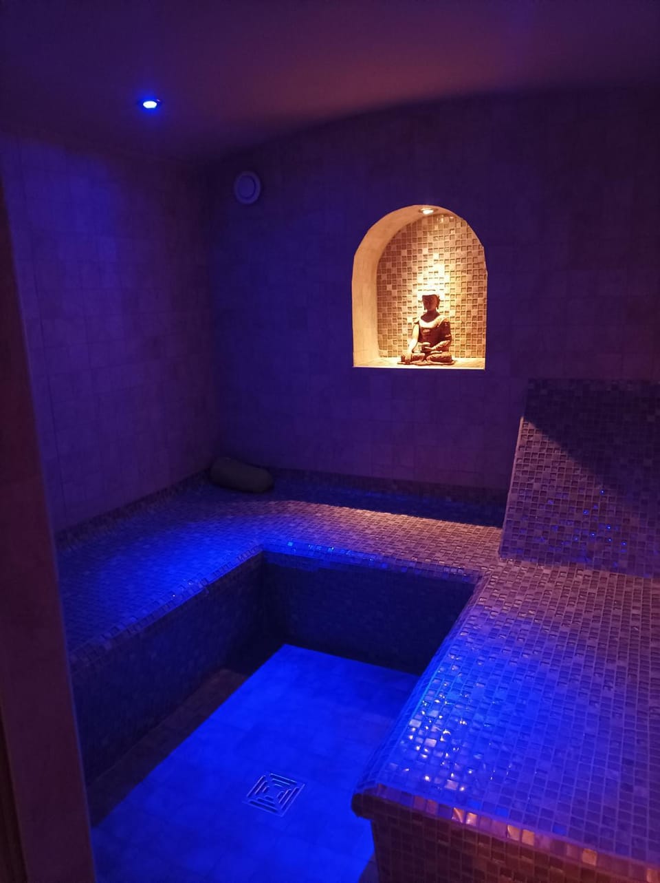 Chambre d'hôte avec Hammam et salle de jeux Bed and Breakfast in Auvergne-Rhône-Alpes