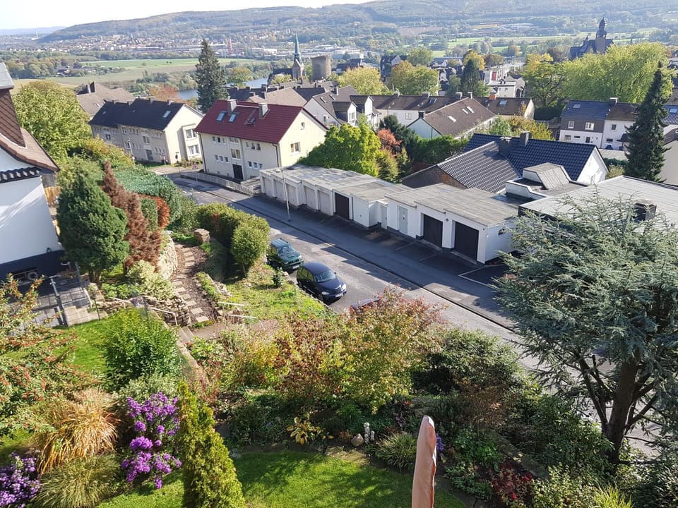 Neighbourhood, Bird's eye view, Autumn, On site, City view, Street view