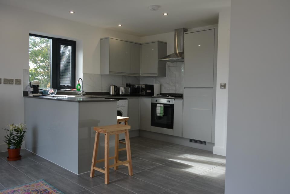 Kitchen or kitchenette, minibar, oven, stove, toaster
