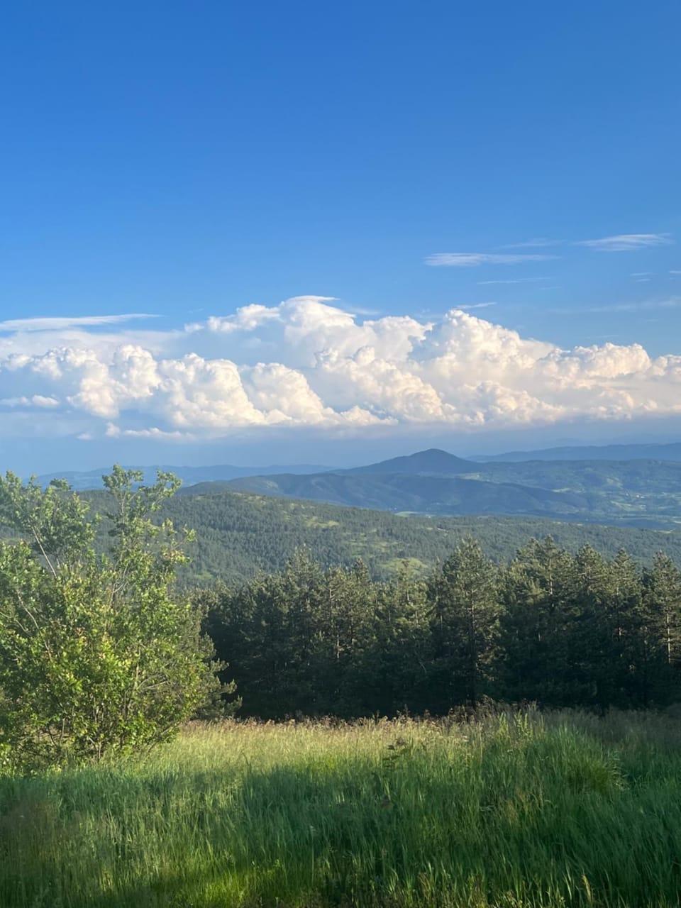 Studio Viline kose Apartment in Zlatibor District, Serbia