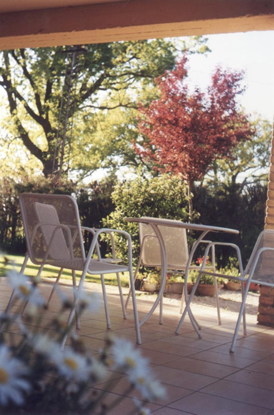 Garden view