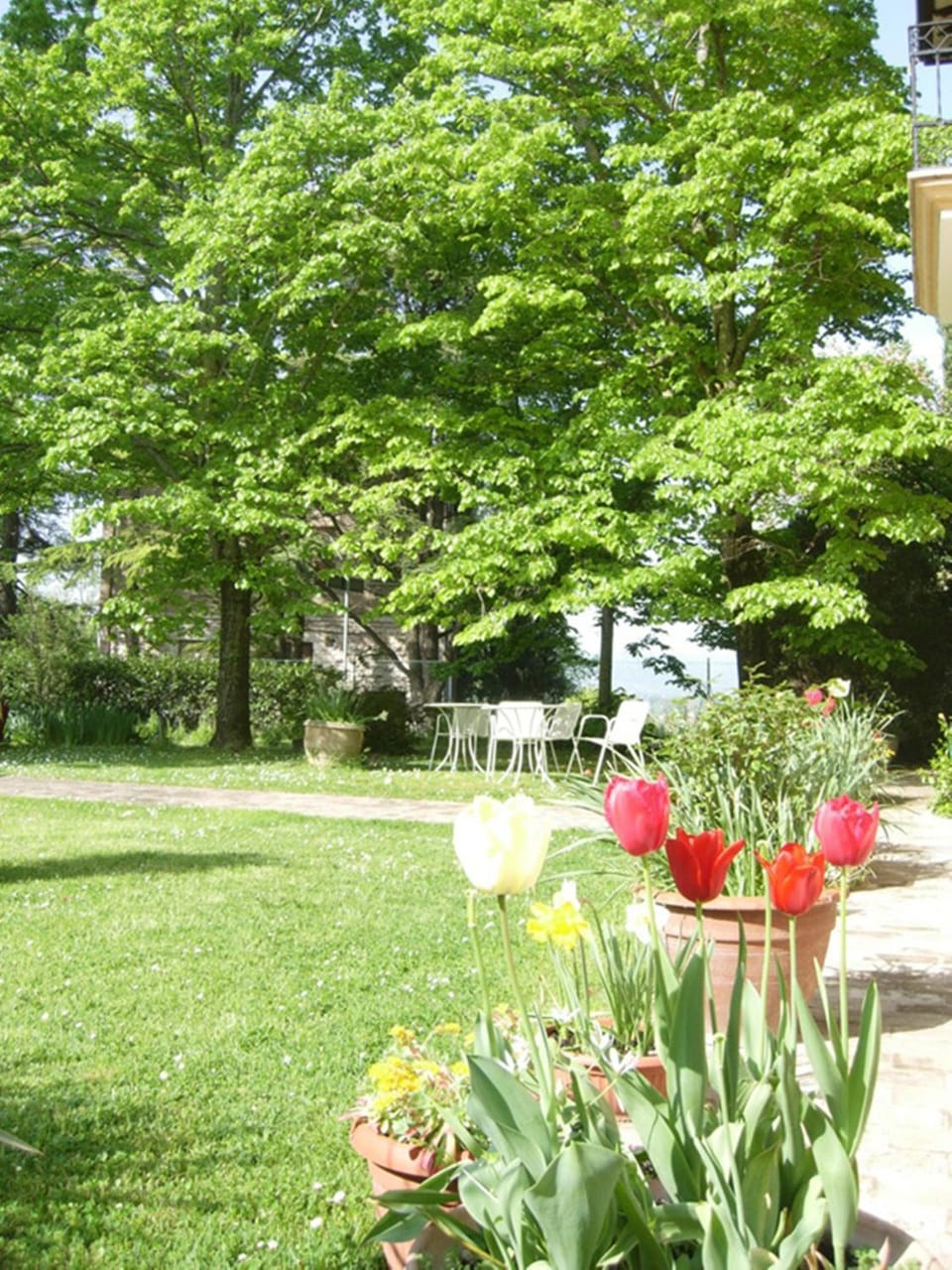Garden view