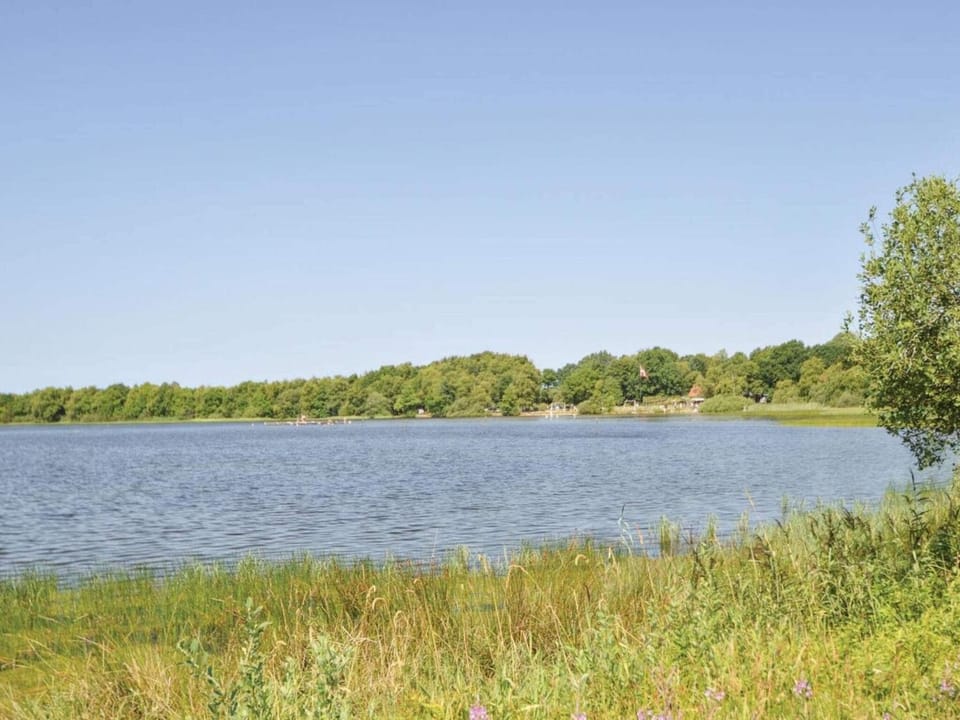 Lake view