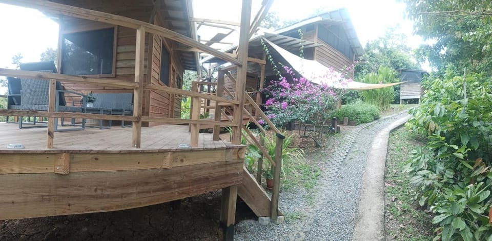Eden Jungle Lodge Bed and Breakfast in Bocas del Toro Province