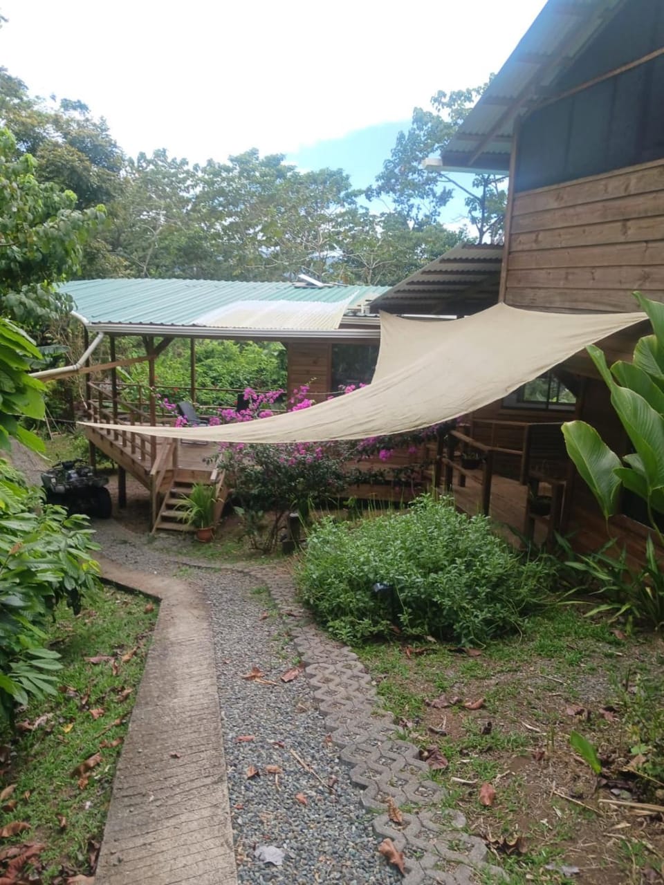 Eden Jungle Lodge Bed and Breakfast in Bocas del Toro Province