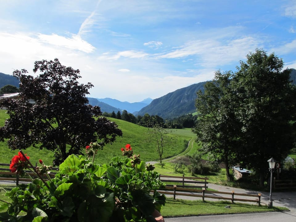 Summer, View (from property/room)