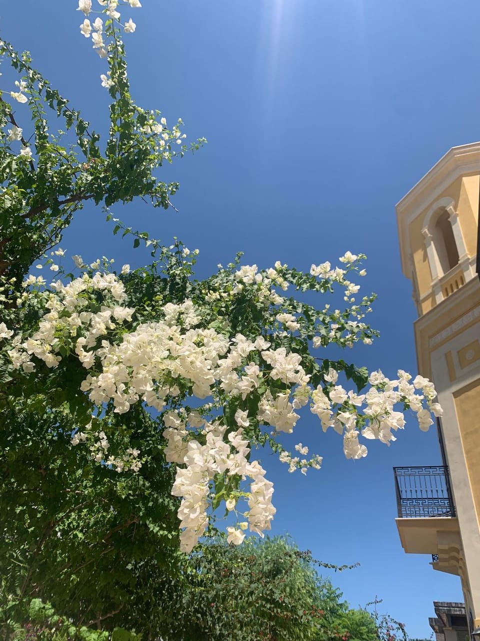 Property building, Spring