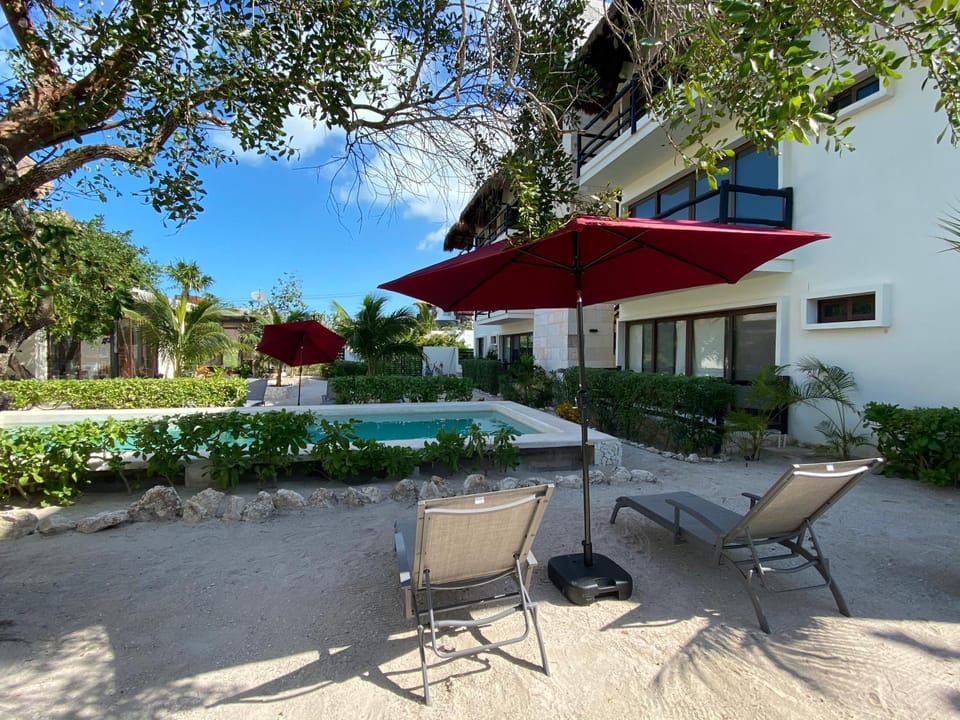 Property building, Garden, Swimming pool, furniture