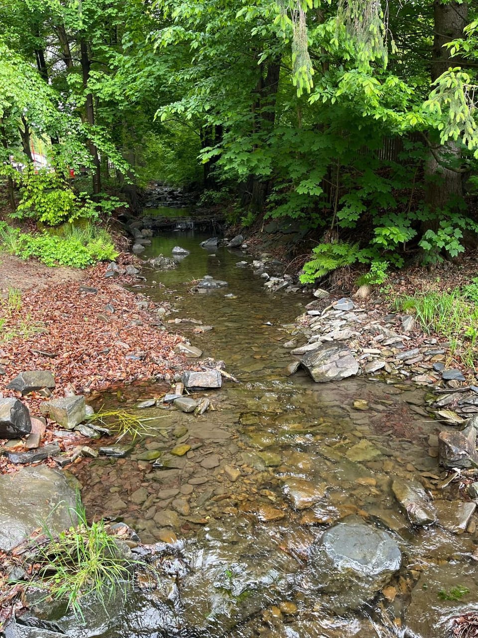 River view