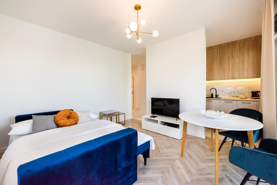 Bed, TV and multimedia, Kitchen or kitchenette, Living room, Photo of the whole room, Seating area, Dining area, Evening entertainment, Bedroom, hair dresser