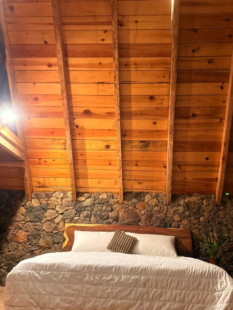Bosque de Perlillas Campground/ 
RV Resort in State of Mexico