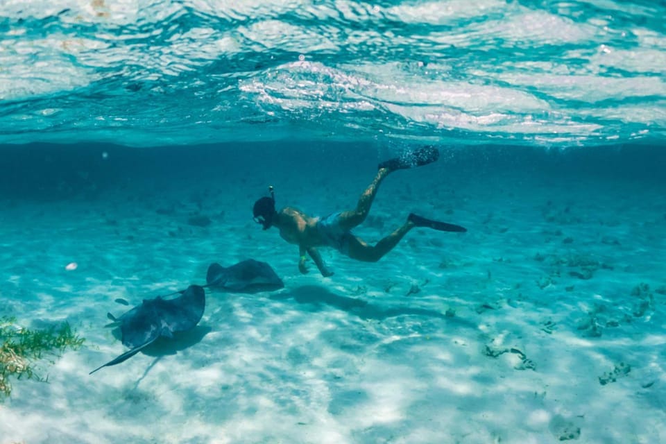 Snorkeling
