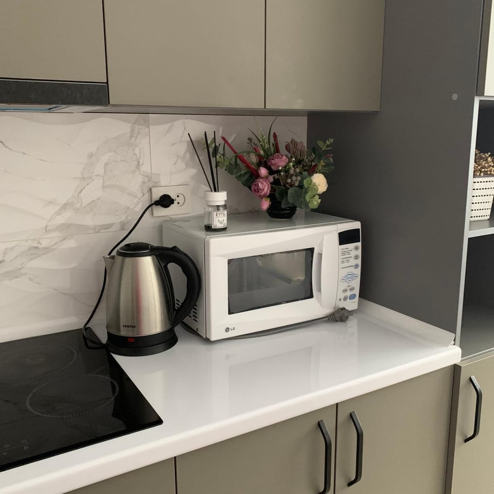 Kitchen or kitchenette, minibar, stove