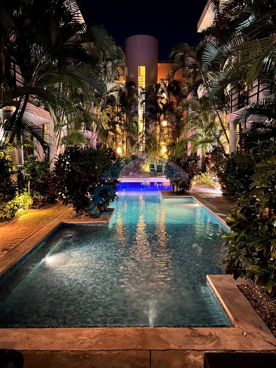 Night, Garden, Swimming pool