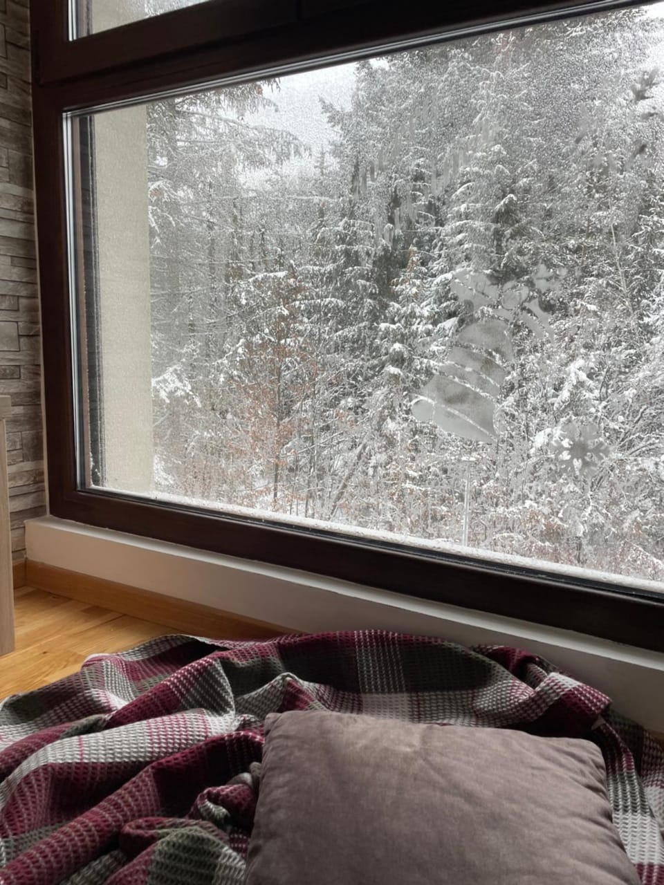Natural landscape, Winter, View (from property/room), Mountain view