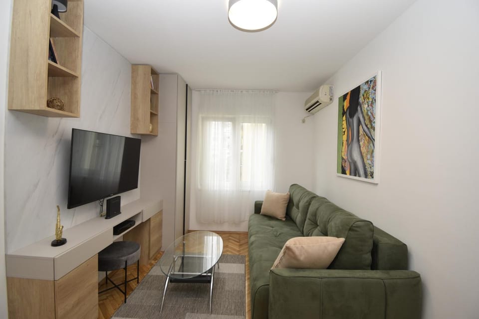 Studio apartment Art Zone Apartment in Podgorica
