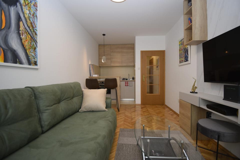 Studio apartment Art Zone Apartment in Podgorica