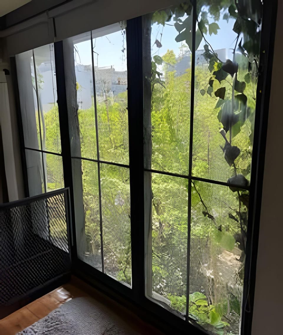 Garden, Garden view