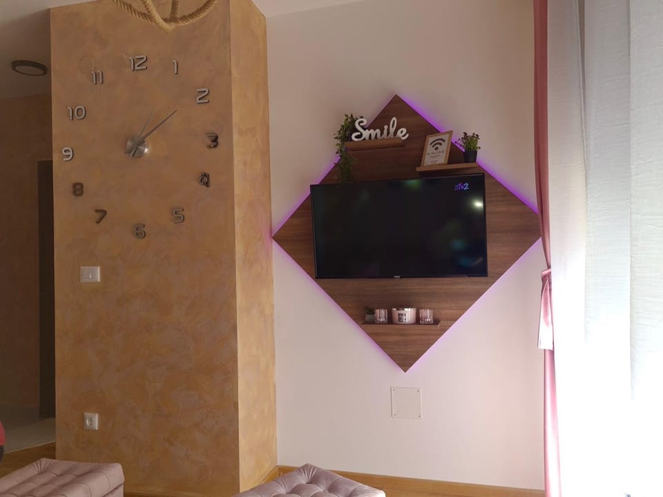 TV and multimedia