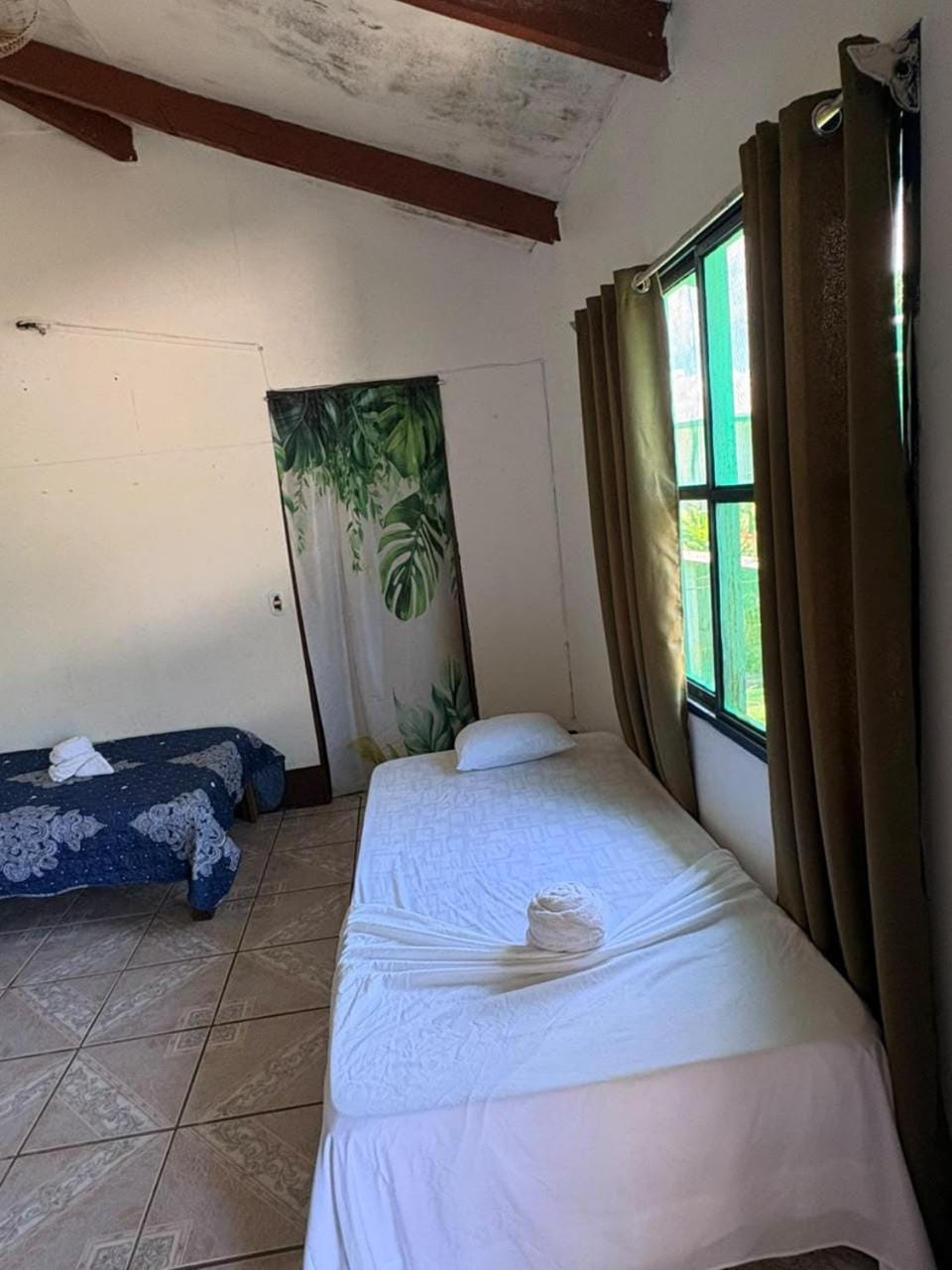 Cabinas Tortuguero Natural Cabin in Costa Rica
