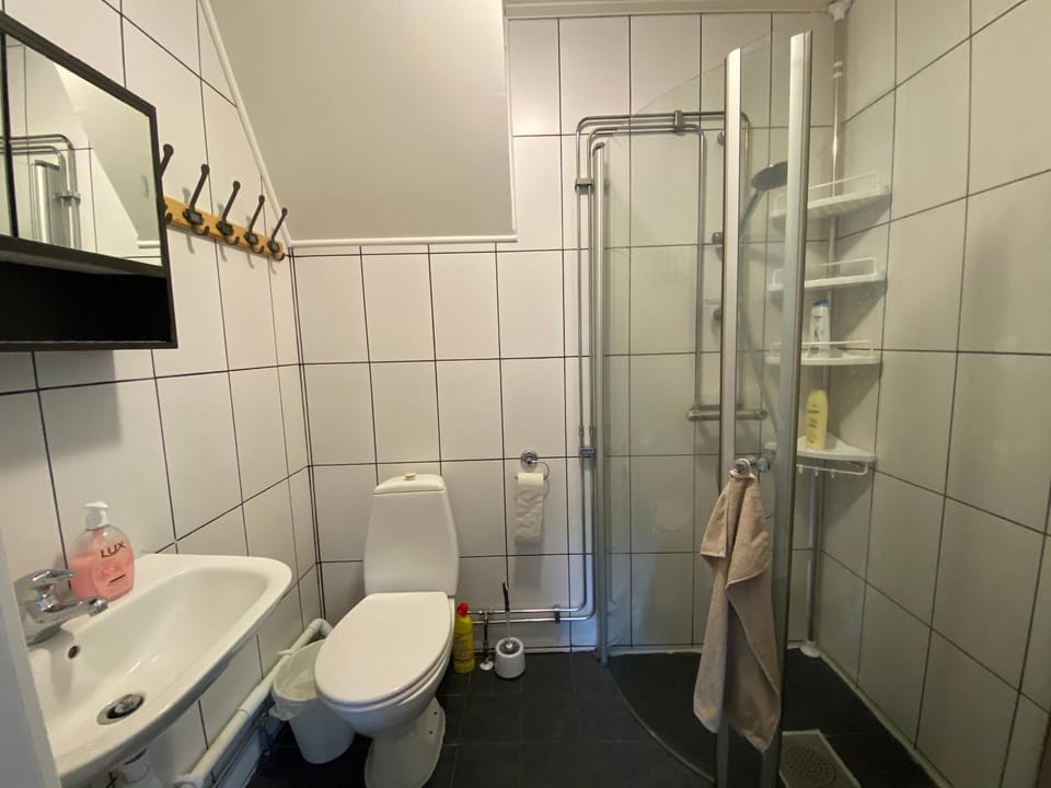 Shower, Toilet, Bathroom