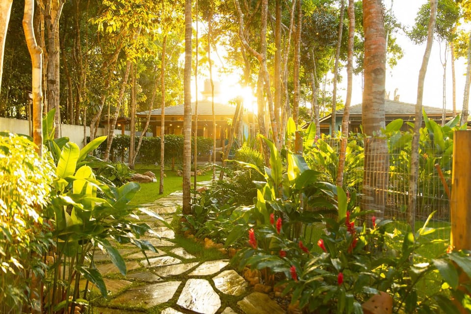 Garden, Garden, Garden view