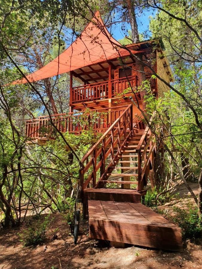 TreeHouses Ljubač Glamping Robinson House in Zadar County