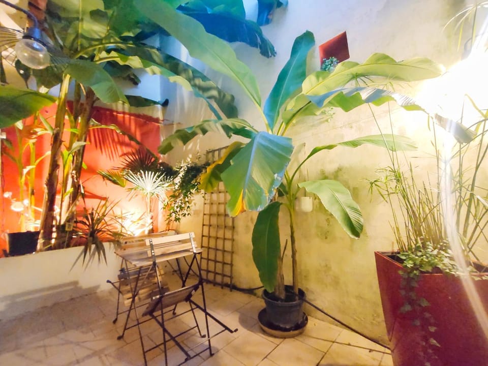 Votre Escale Jungle Sauna & Spa Apartment in Pays de la Loire