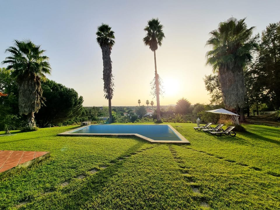 Natural landscape, Garden, Garden view, Pool view, Swimming pool, Sunset, sunbed
