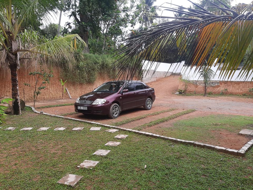 Day, Garden, Garden view, Parking