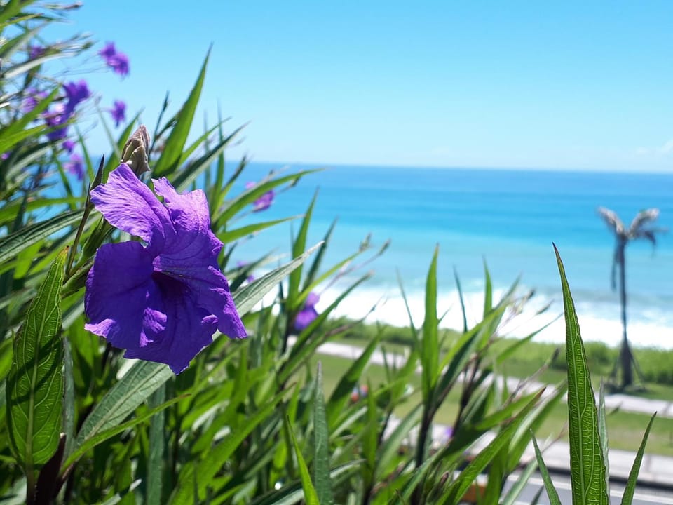 Sea view