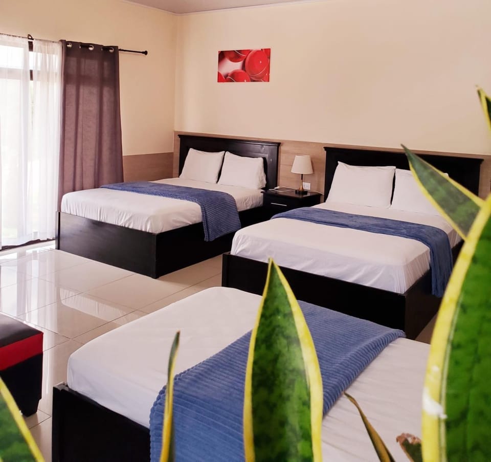 Diesbu Hotel Hotel in Honduras