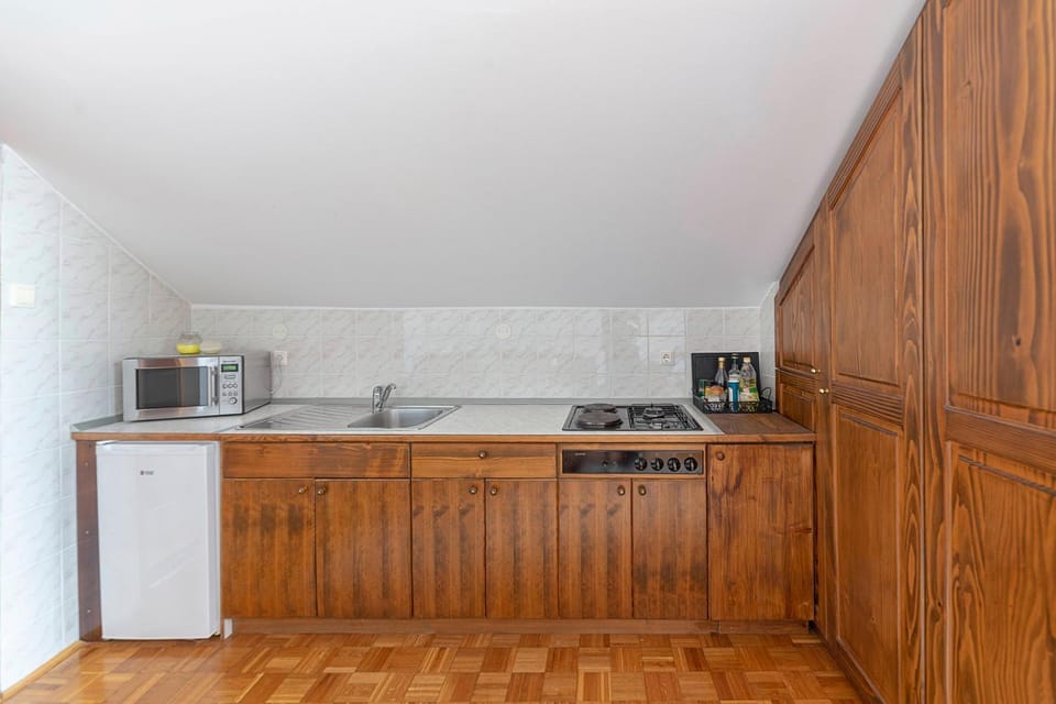 Kitchen or kitchenette, minibar, stove, kitchen