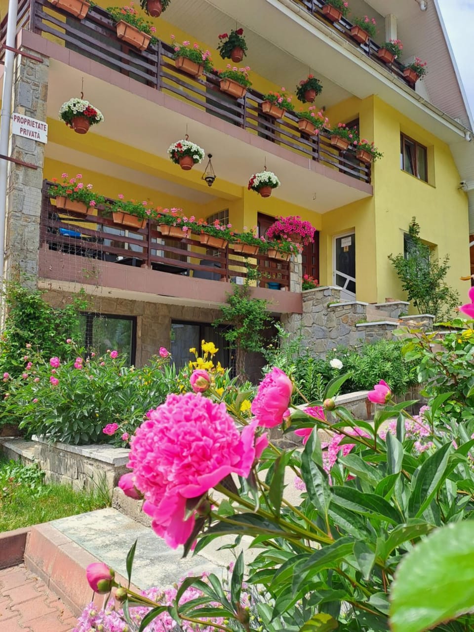 Pensiunea Maria Bed and Breakfast in Romania