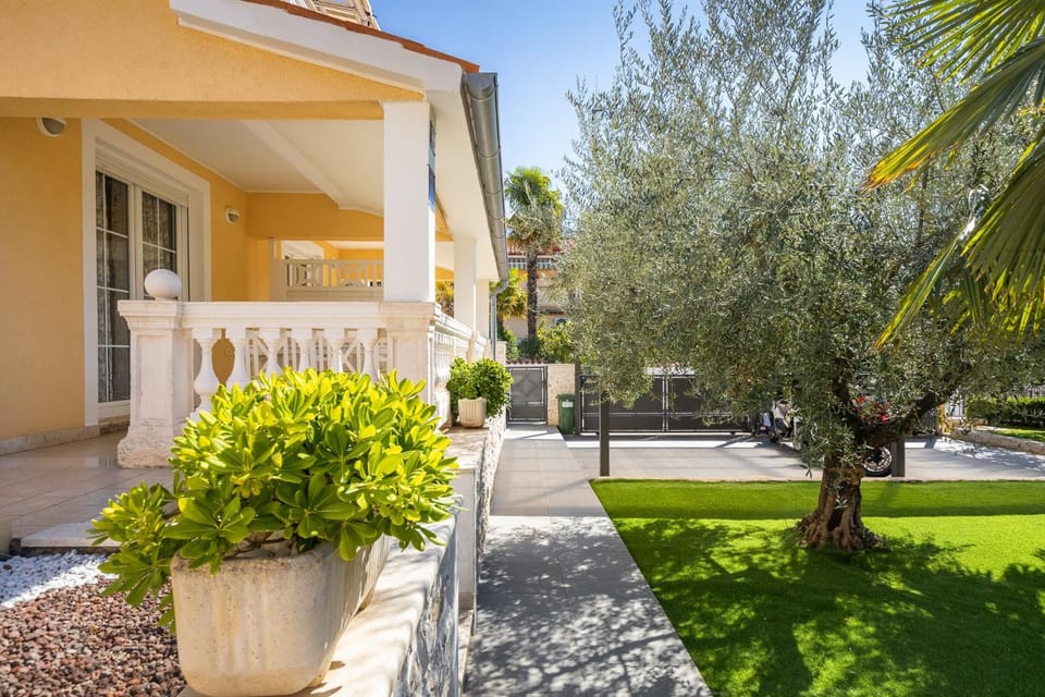 Patio, Garden, Garden view