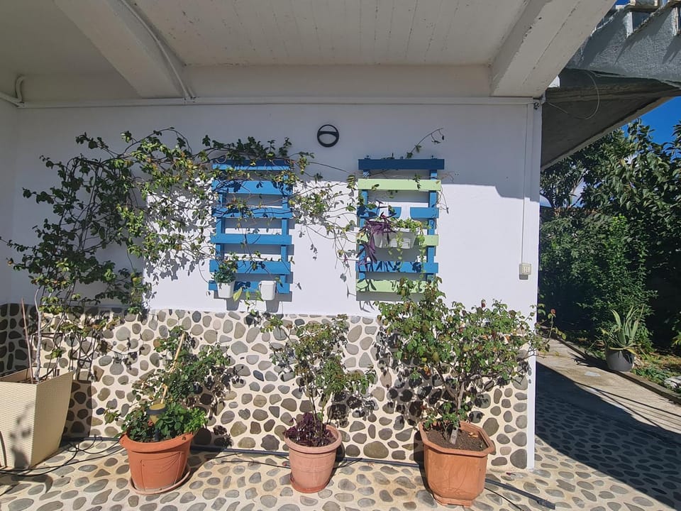 Garden, Garden view