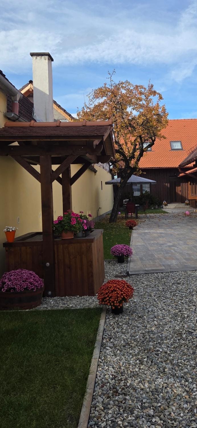 Casa Sura Sasilor Bed and Breakfast in Sibiu