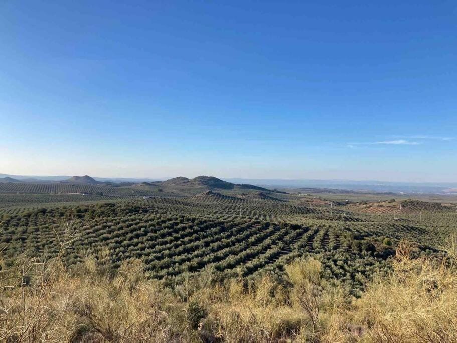 Natural landscape