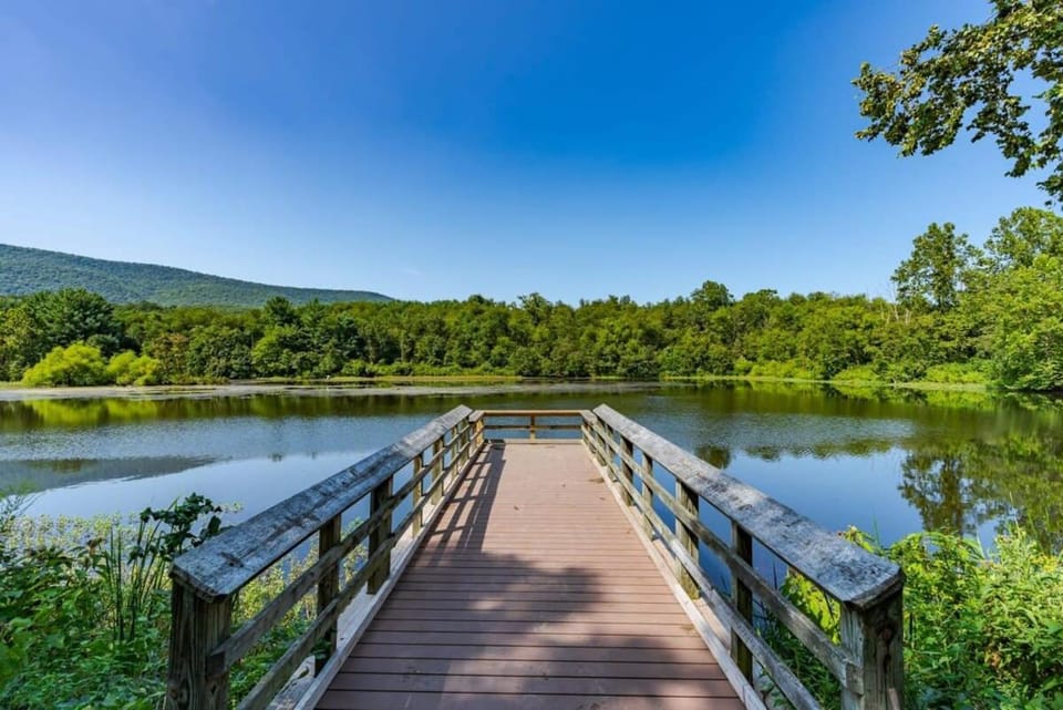 Natural landscape