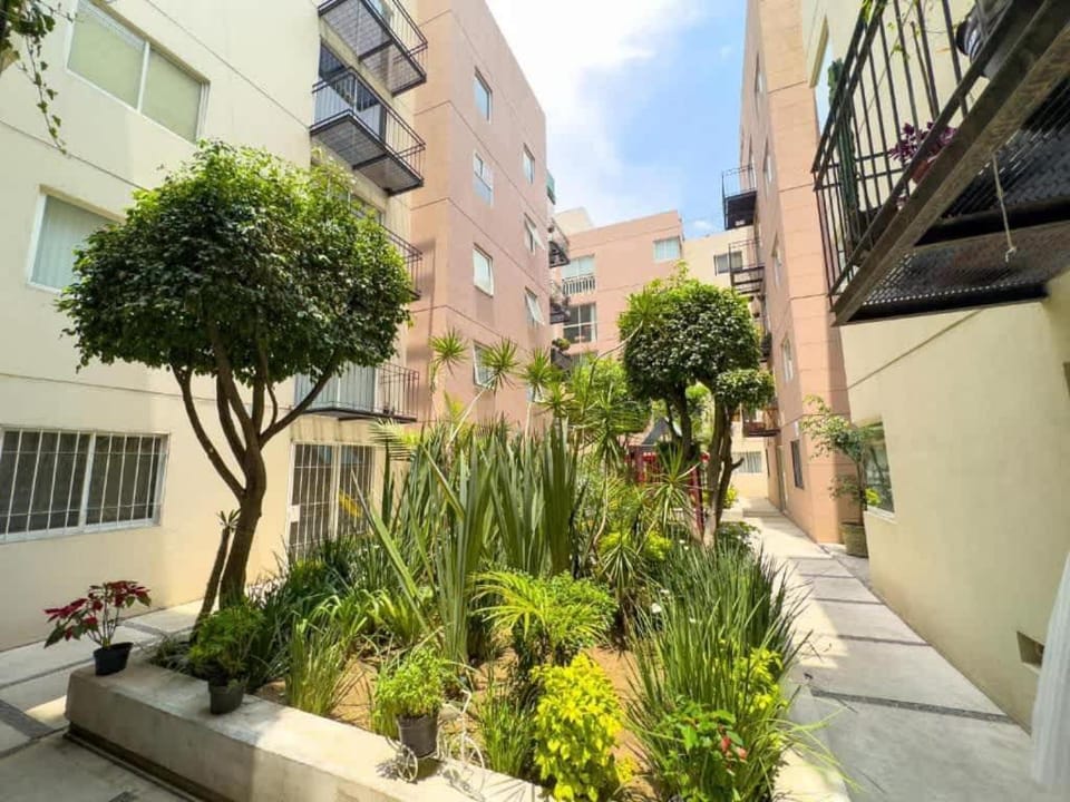 Property building, Garden