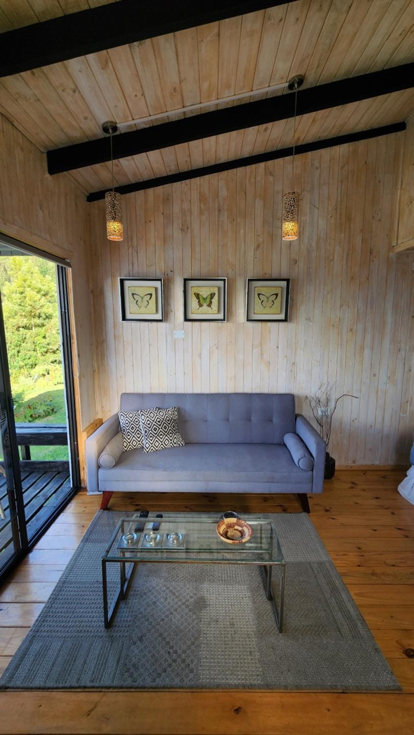 Loft Puro Ranco Chalet in Los Ríos, Chile