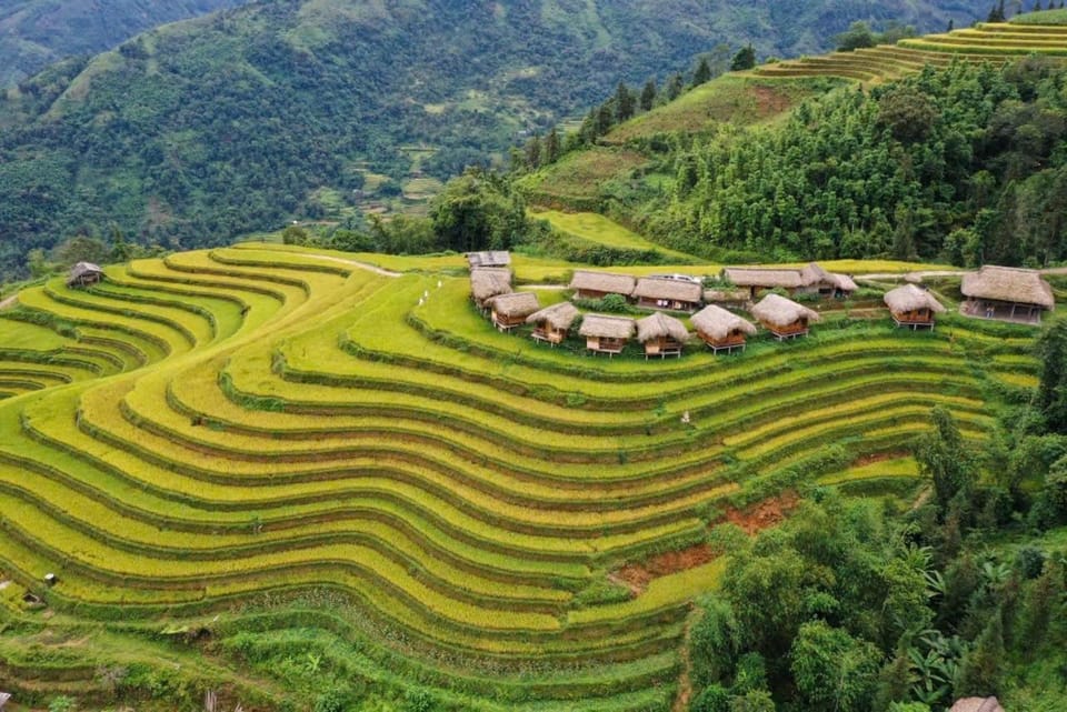Bình Minh Homestay Nature lodge in Vietnam