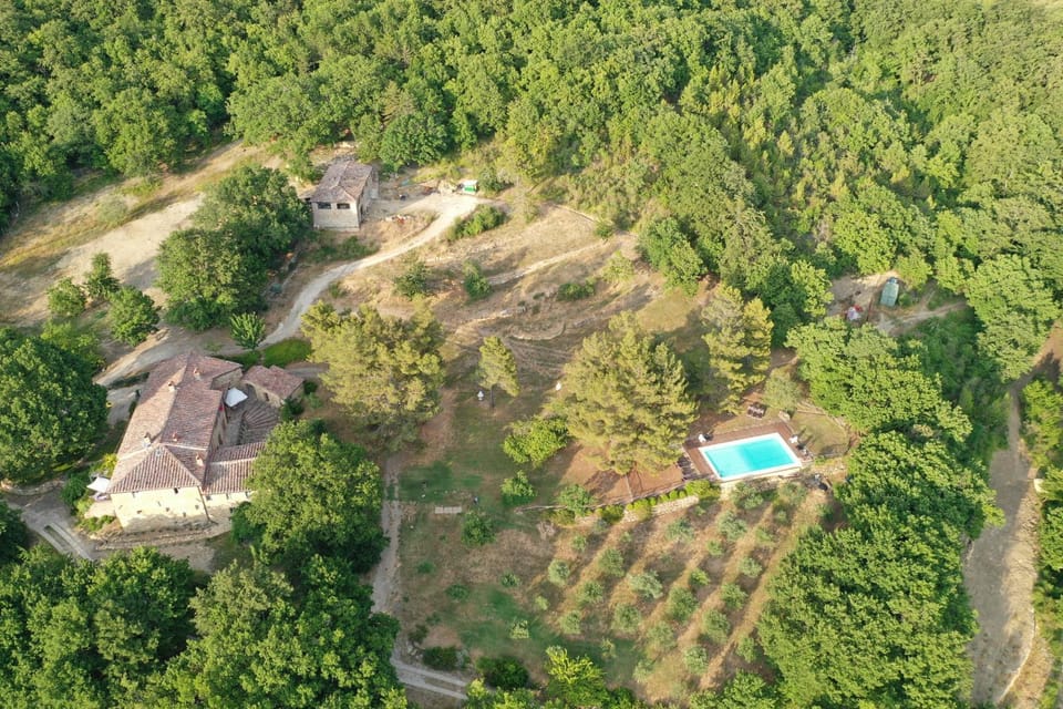 Spring, Day, Natural landscape, Bird's eye view