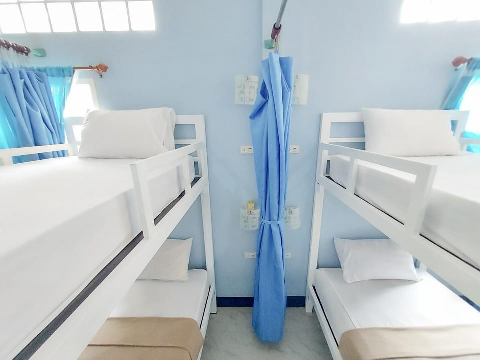 Bed, Photo of the whole room, Bedroom, bunk bed