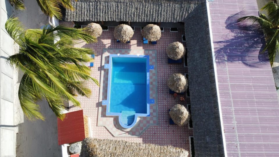 Day, Pool view, Swimming pool, sunbed