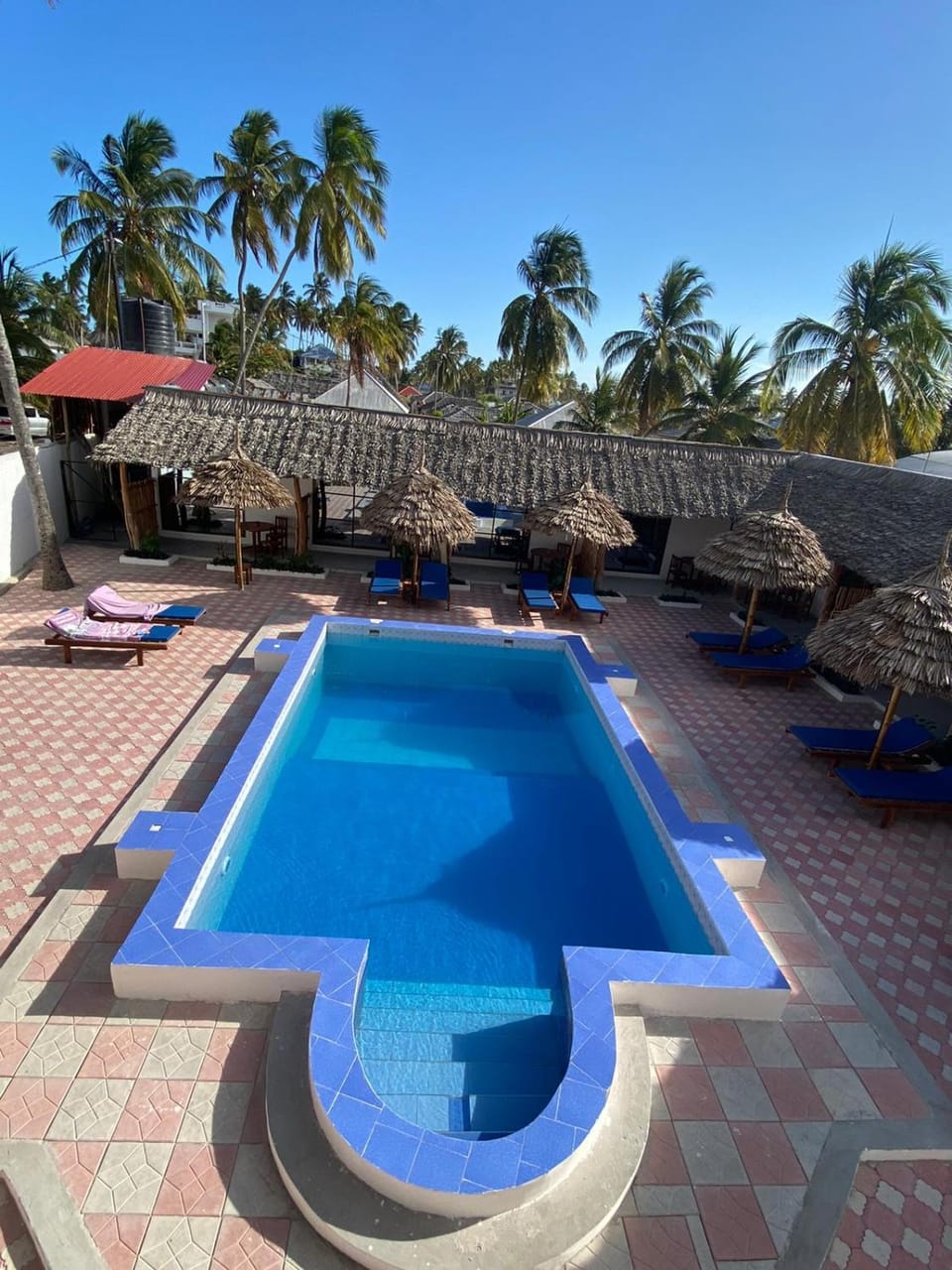 Day, Pool view, Swimming pool, sunbed