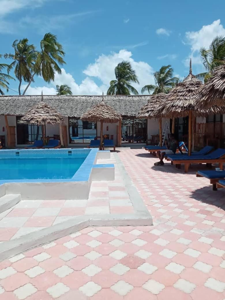 Day, Pool view, Swimming pool, sunbed