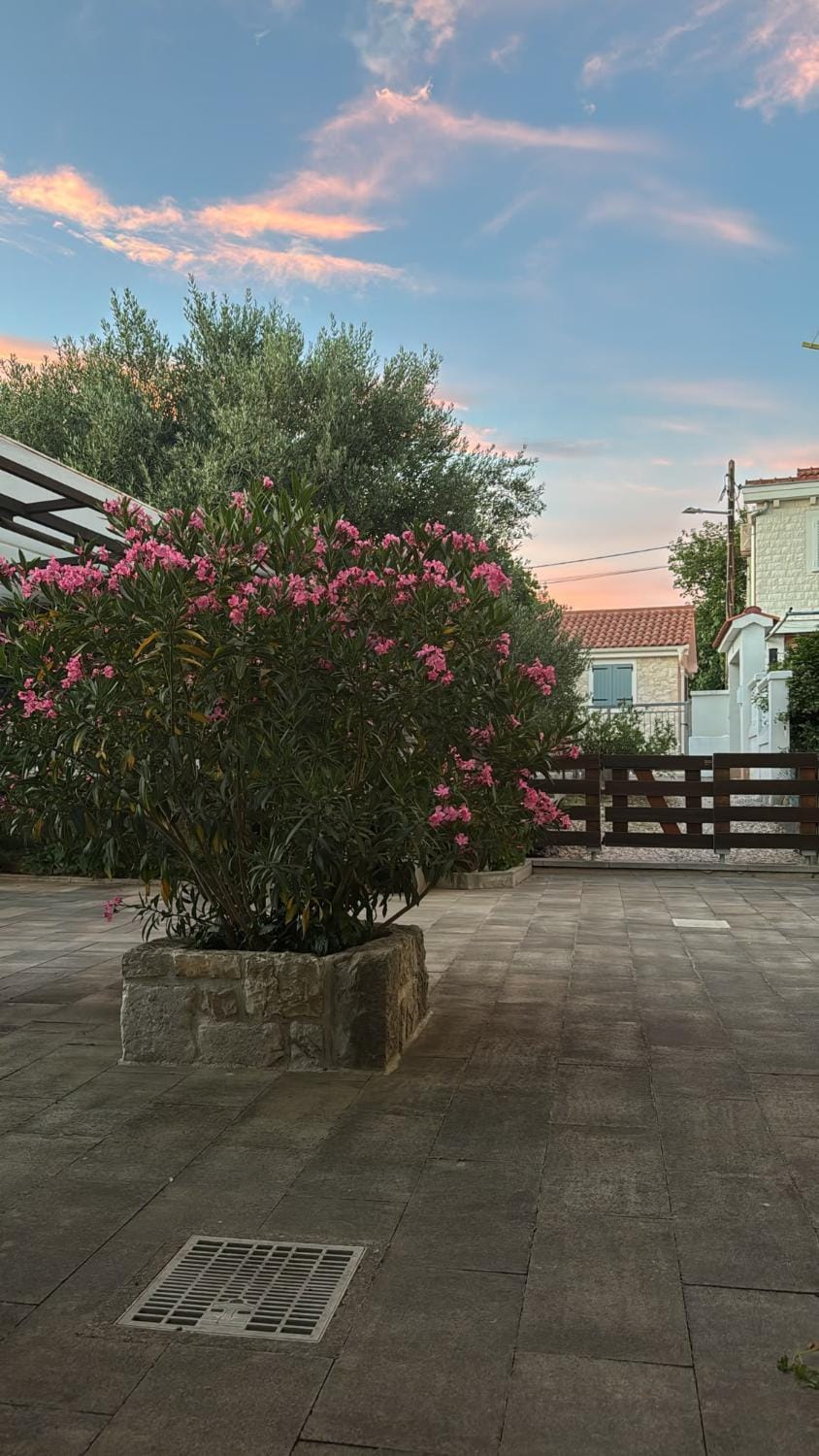Patio, Day, Garden