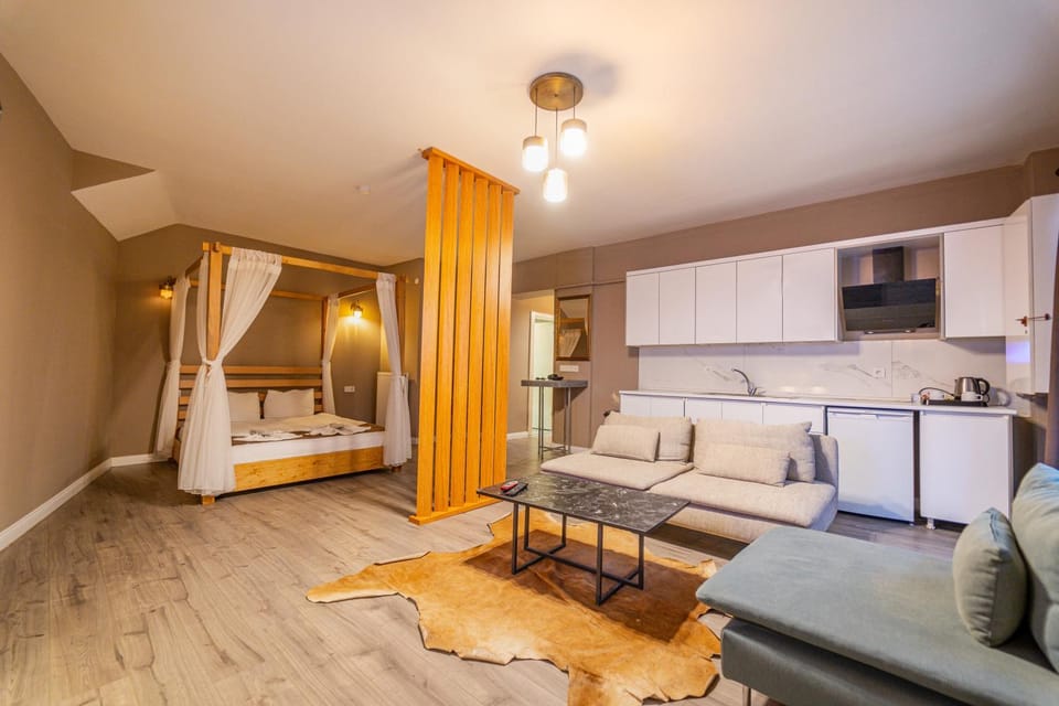 Bed, TV and multimedia, Kitchen or kitchenette, Photo of the whole room, Seating area, Bedroom, minibar