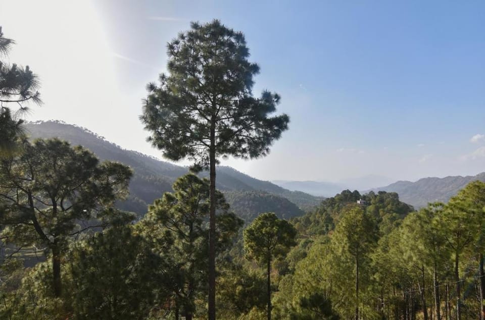 The Moon House l Jacuzzi I 3 Bedroom Villa With Open Air Lawn & BBQ l Bonfire Available l Kasauli By Exotic Stays Apartment in Himachal Pradesh